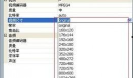视频格式转换,一篇文章带你掌握转换技巧